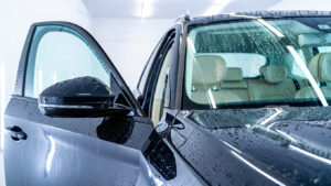 Estet Detailing - 1321